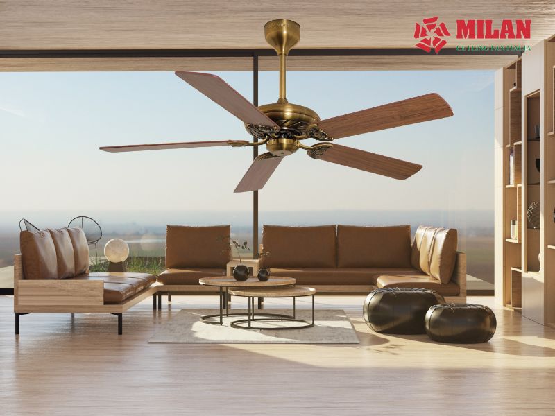 Mua quạt trần ở đâu để đảm bảo chất lượng, giá tốt và bền lâu?