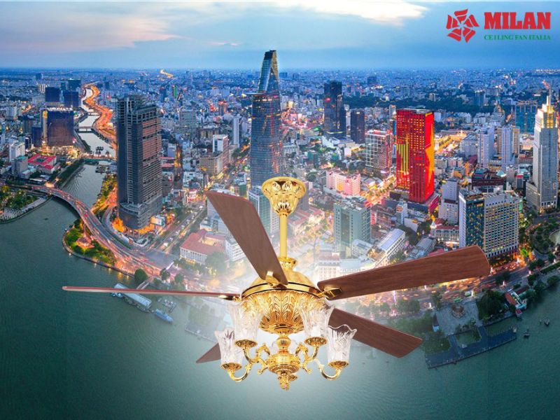 Mua quạt trần ở đâu TPHCM? Gợi ý địa chỉ uy tín cho không gian sống hiện đại