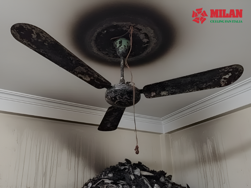 Quạt trần bị cháy: Nguyên nhân, cách kiểm tra và xử lý an toàn