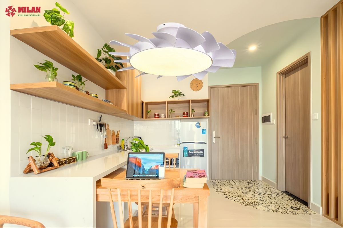 Quạt trần cánh ngắn có mát không? Sự thật về hiệu năng của dòng quạt trần cánh ngắn