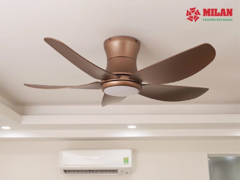 Quạt trần màu đồng – Điểm nhấn sang trọng cho mọi không gian