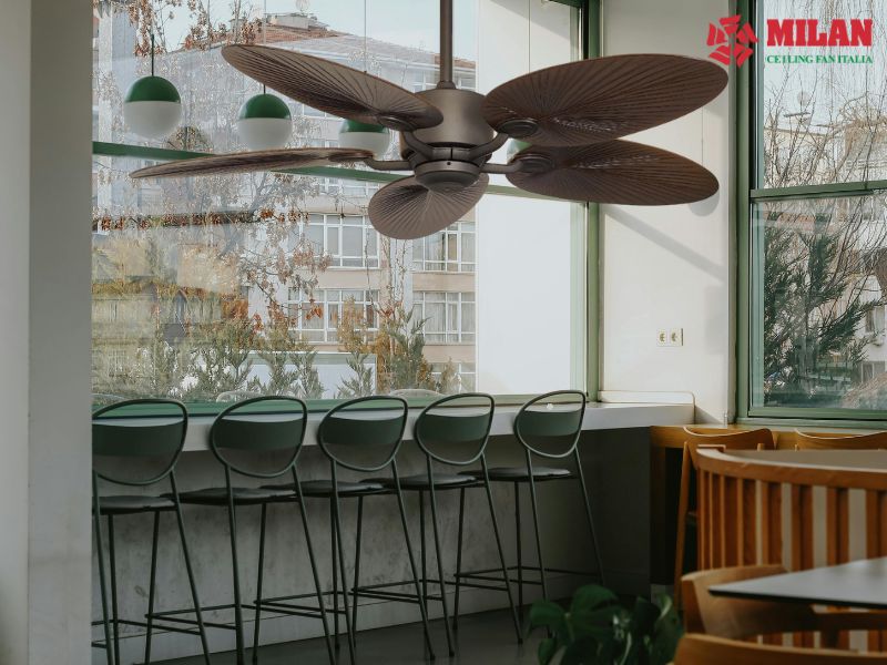 Quạt trần quán cafe - Lựa chọn thông minh cho không gian vừa mát vừa đẹp