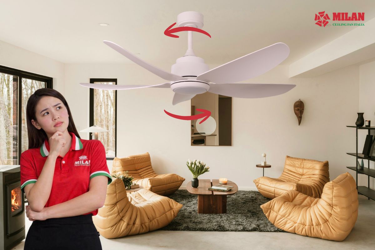 Quạt trần quay theo chiều nào là đúng? Cách sử dụng đúng