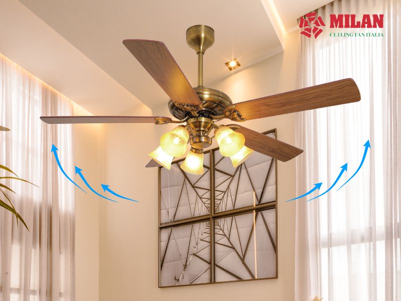 Rpm là gì? Cfm là gì? Mua quạt trần đặc biệt lưu ý thông số này