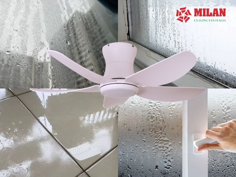 Trời nồm có nên bật quạt không? Nhiều người đang làm sai cách