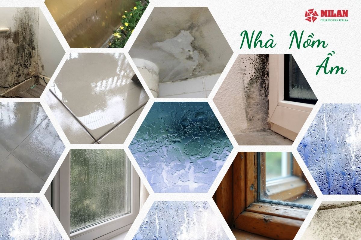 Trời nồm nên làm gì? Bật quạt hay điều hòa mới thực sự hiệu quả?