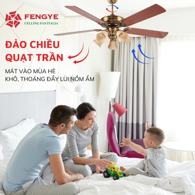 Khám phá đảo chiều quạt trần. Hướng dẫn cách đổi chiều quay của quạt