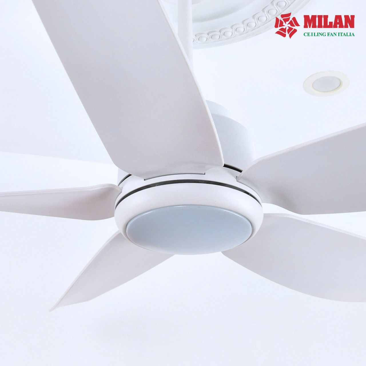 https://quattranitalia.vn/storage/product/17/017-3-1784517126.jpg