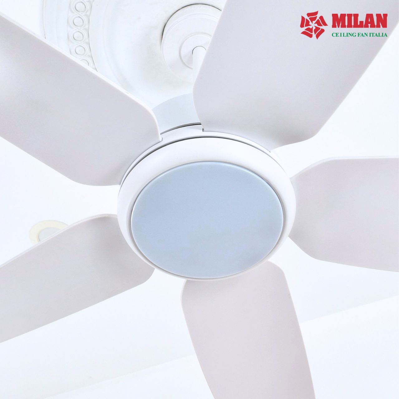 https://quattranitalia.vn/storage/product/17/017-4-1784517126.jpg