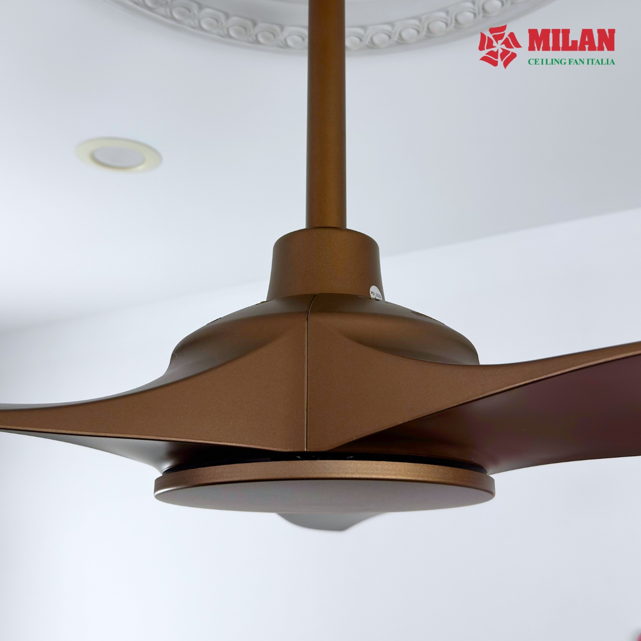 https://quattranitalia.vn/storage/product/17/123-1786088562.jpg