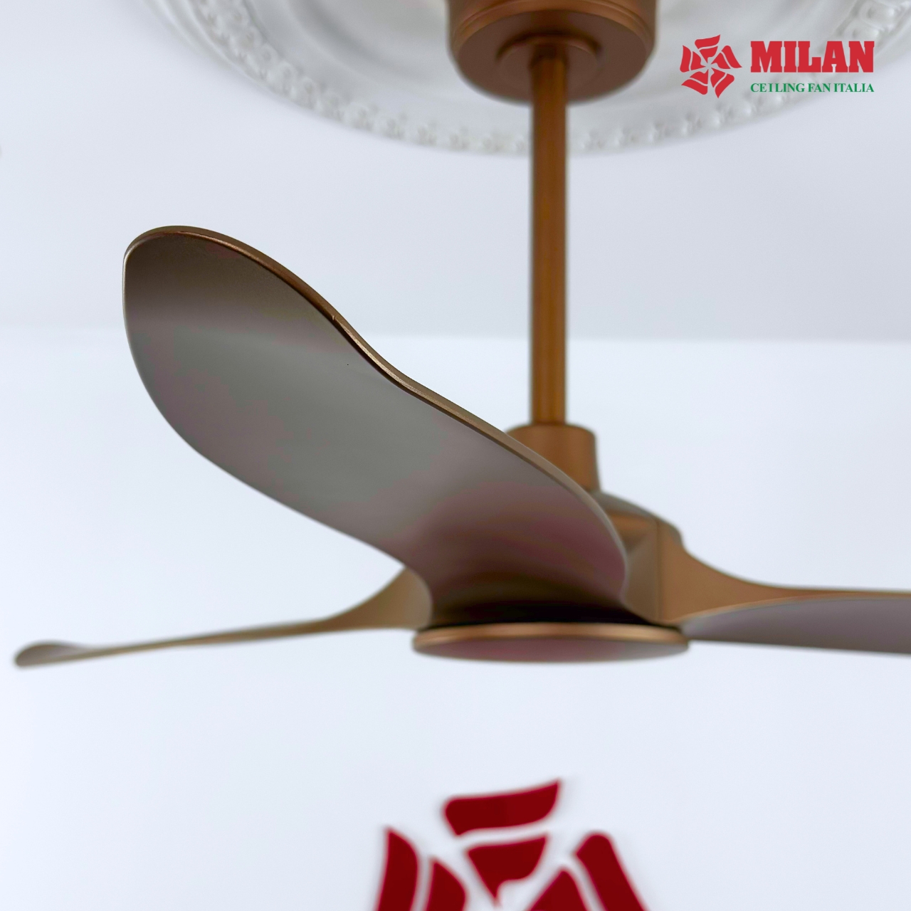 https://quattranitalia.vn/storage/product/17/123-2-1786088562.jpg