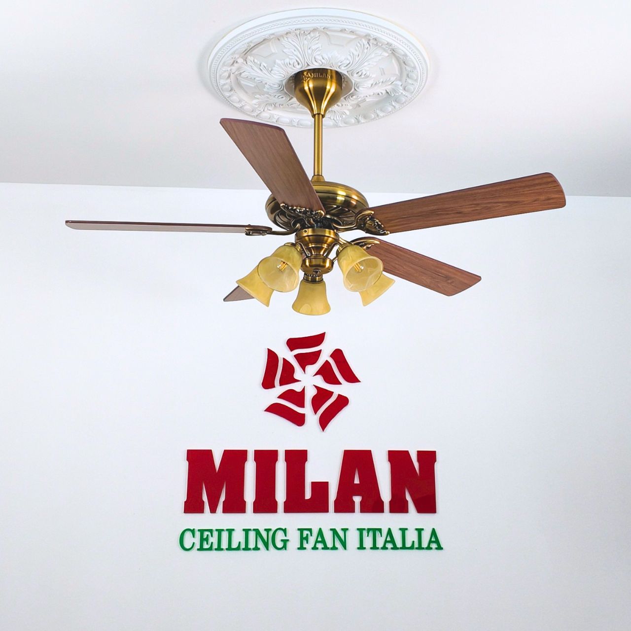 https://quattranitalia.vn/503-cd