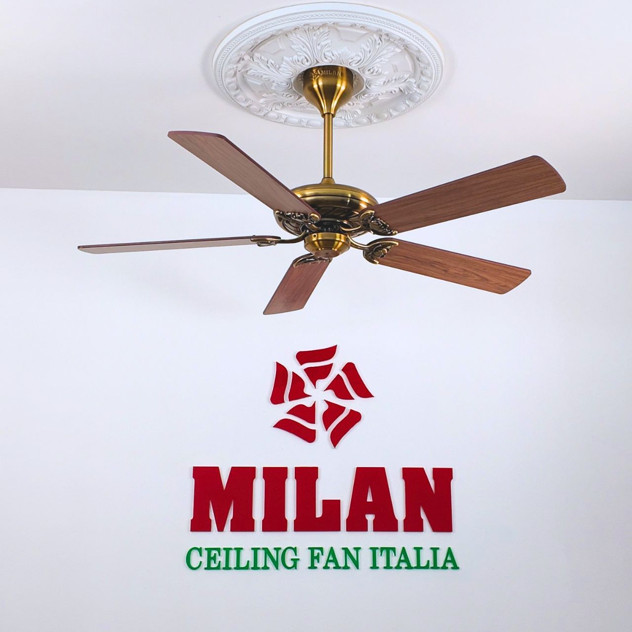 https://quattranitalia.vn/503-kd