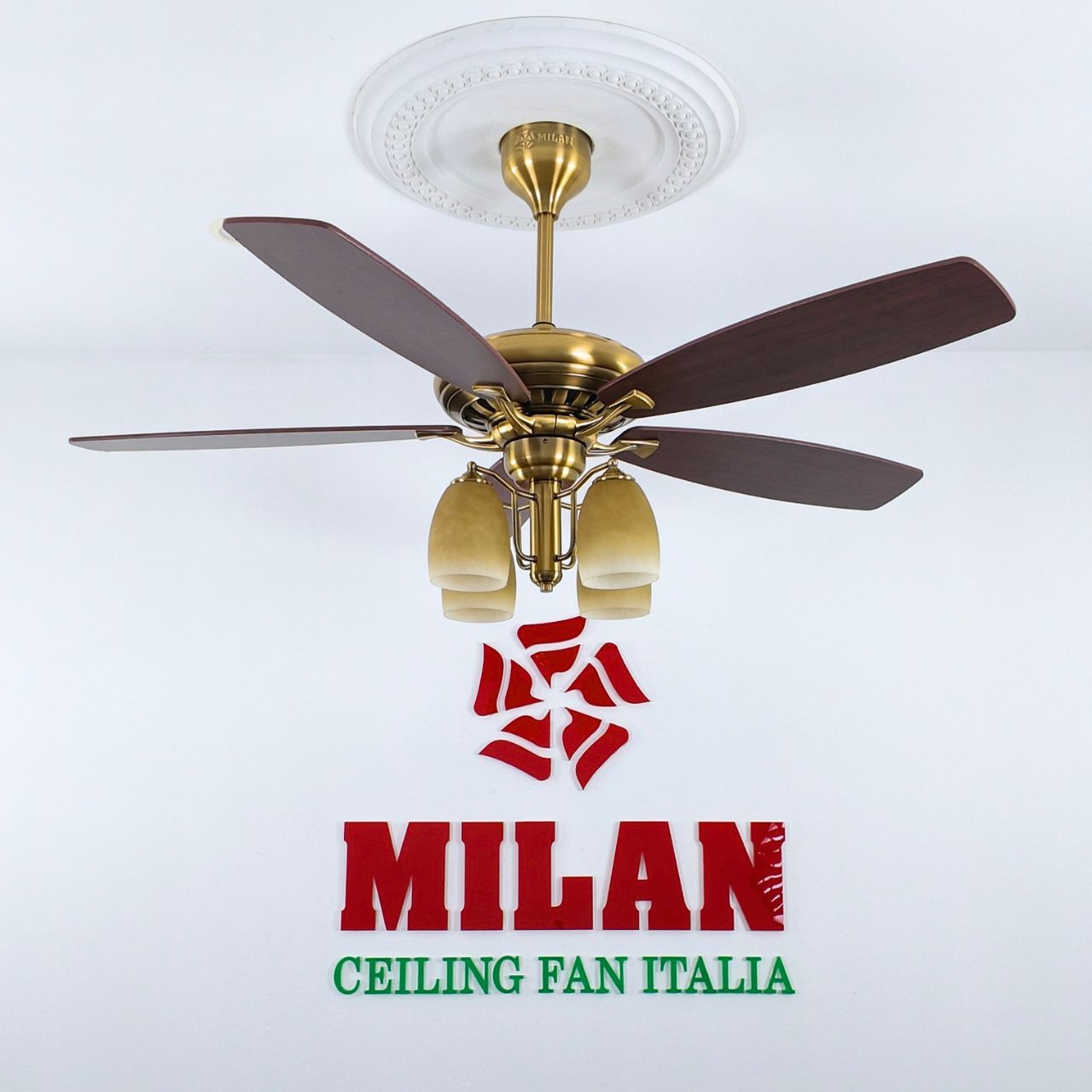 https://quattranitalia.vn/508-cd