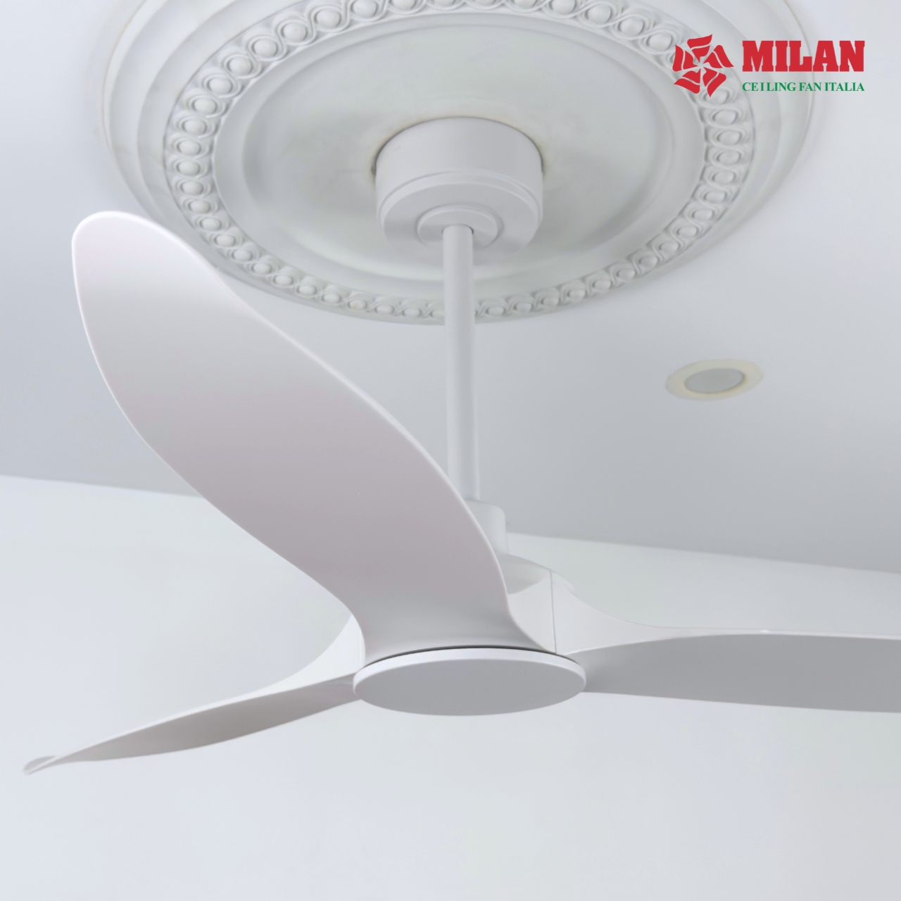 https://quattranitalia.vn/storage/product/17/533-6-1786084216.jpg