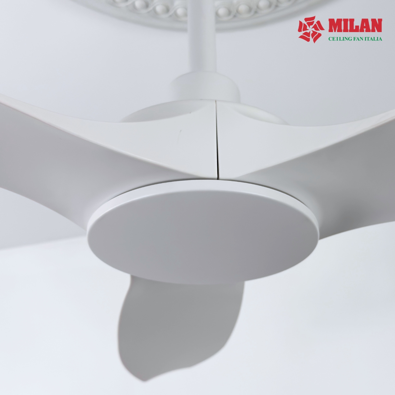 https://quattranitalia.vn/storage/product/17/533-9-1786084216.jpg