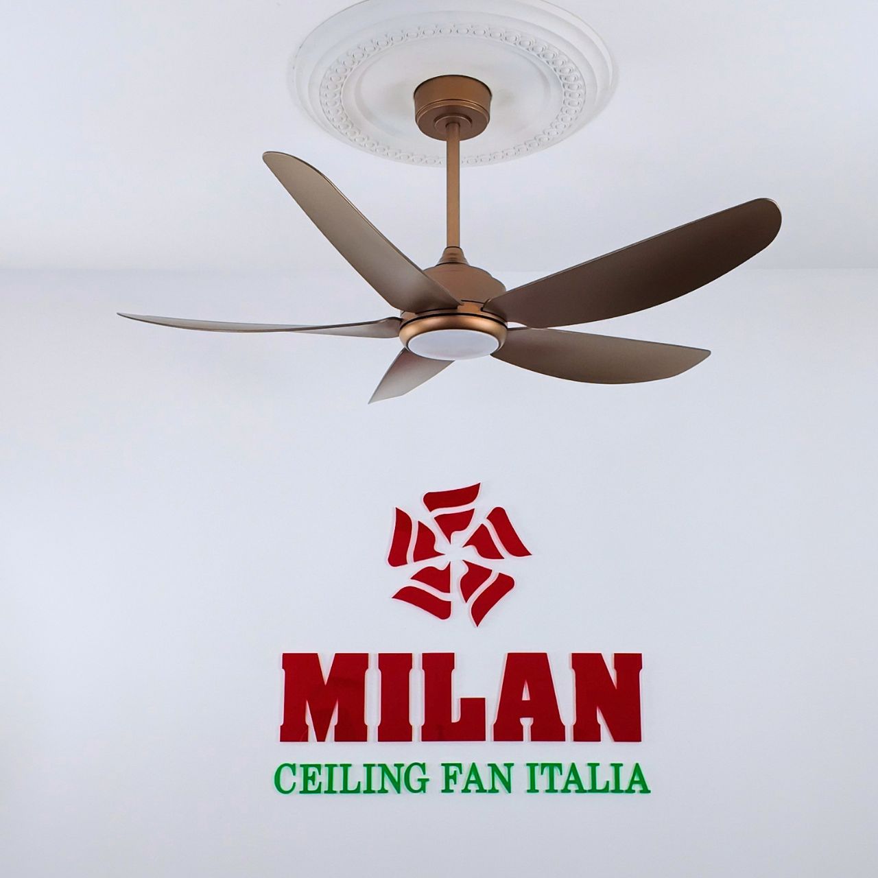 https://quattranitalia.vn/568-dc