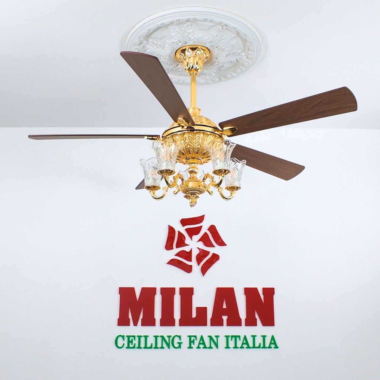 https://quattranitalia.vn/storage/product/17/962-1789615677.jpg