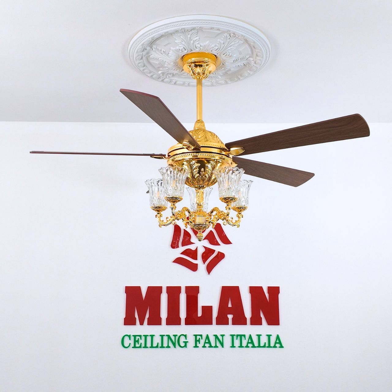 https://quattranitalia.vn/storage/product/17/968-vang-1789615729.jpg
