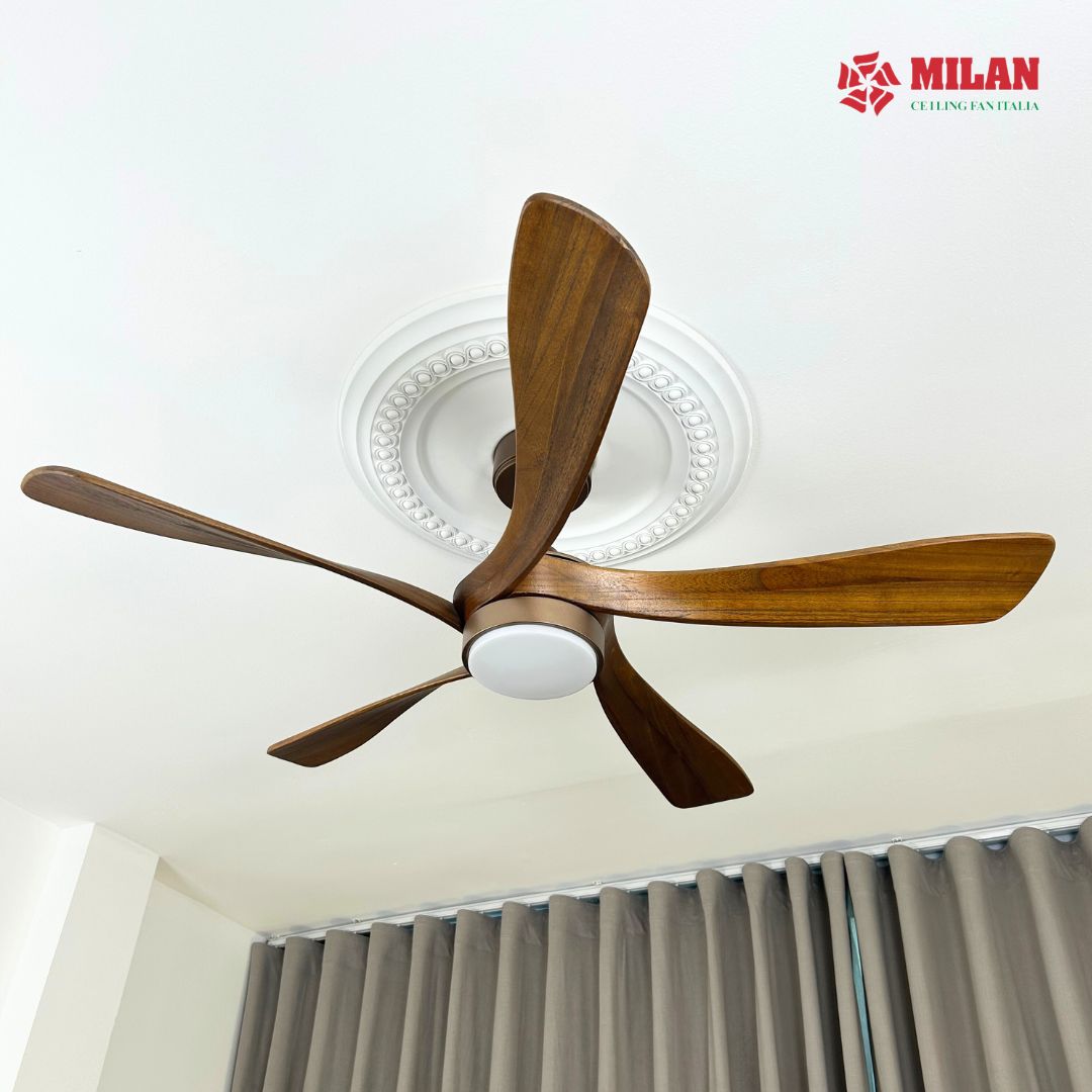 https://quattranitalia.vn/storage/product/17/den-va-xanh-la-hien-dai-hinh-hoc-thiet-bi-choi-game-tinh-nang-san-pham-bai-dang-instagram-12-1765267693.jpg
