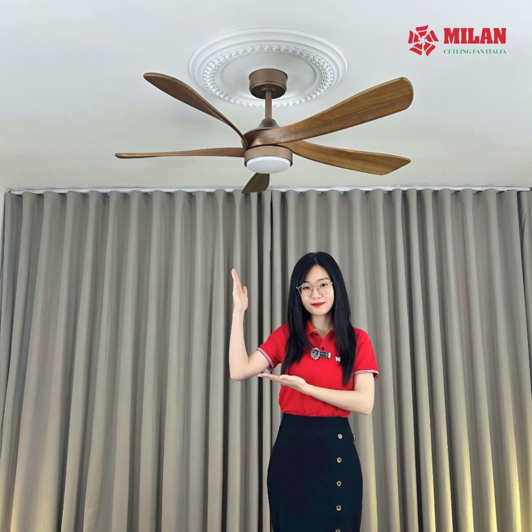 https://quattranitalia.vn/storage/product/17/den-va-xanh-la-hien-dai-hinh-hoc-thiet-bi-choi-game-tinh-nang-san-pham-bai-dang-instagram-14-1765267693.jpg