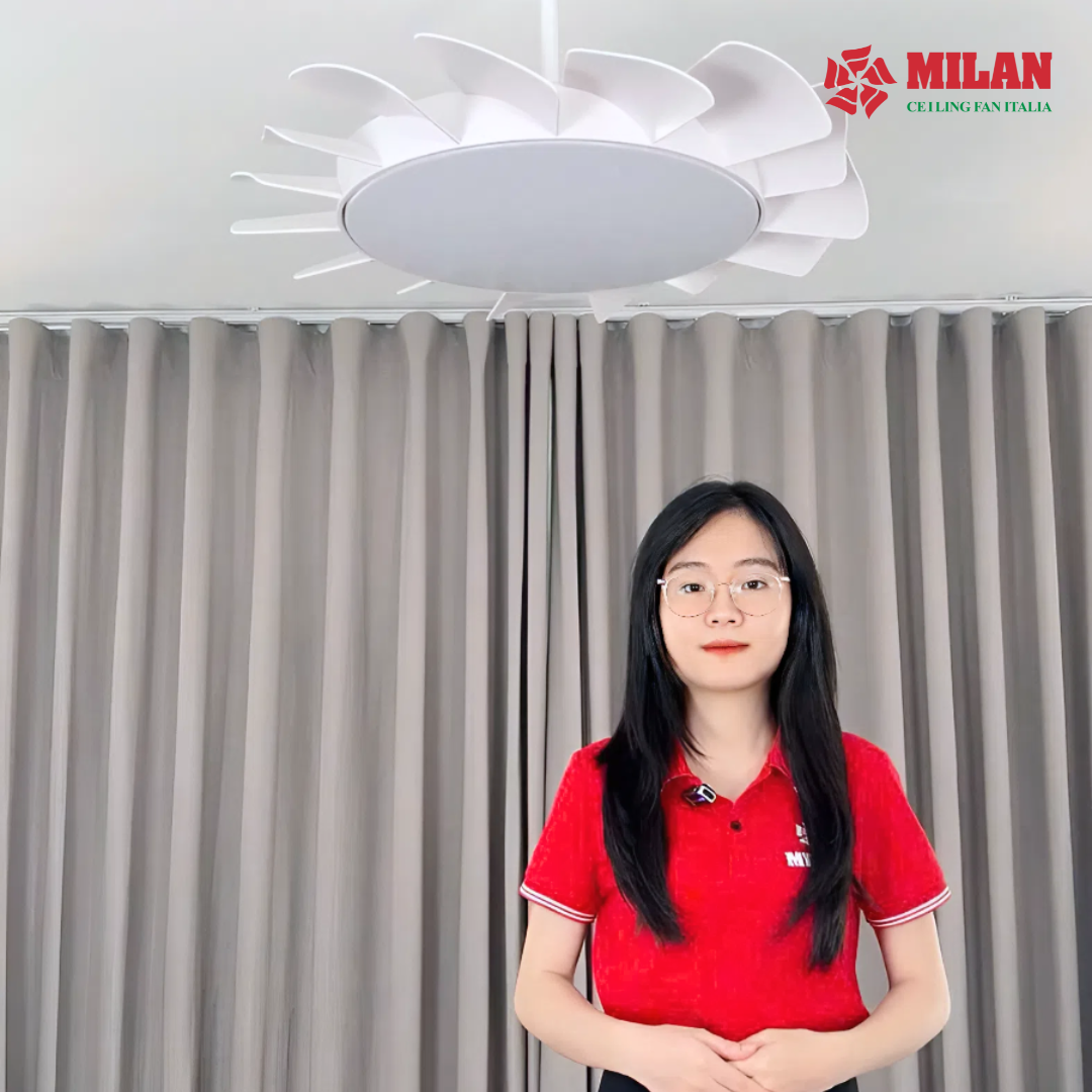 https://quattranitalia.vn/storage/product/17/fy566-1-1766818100.png