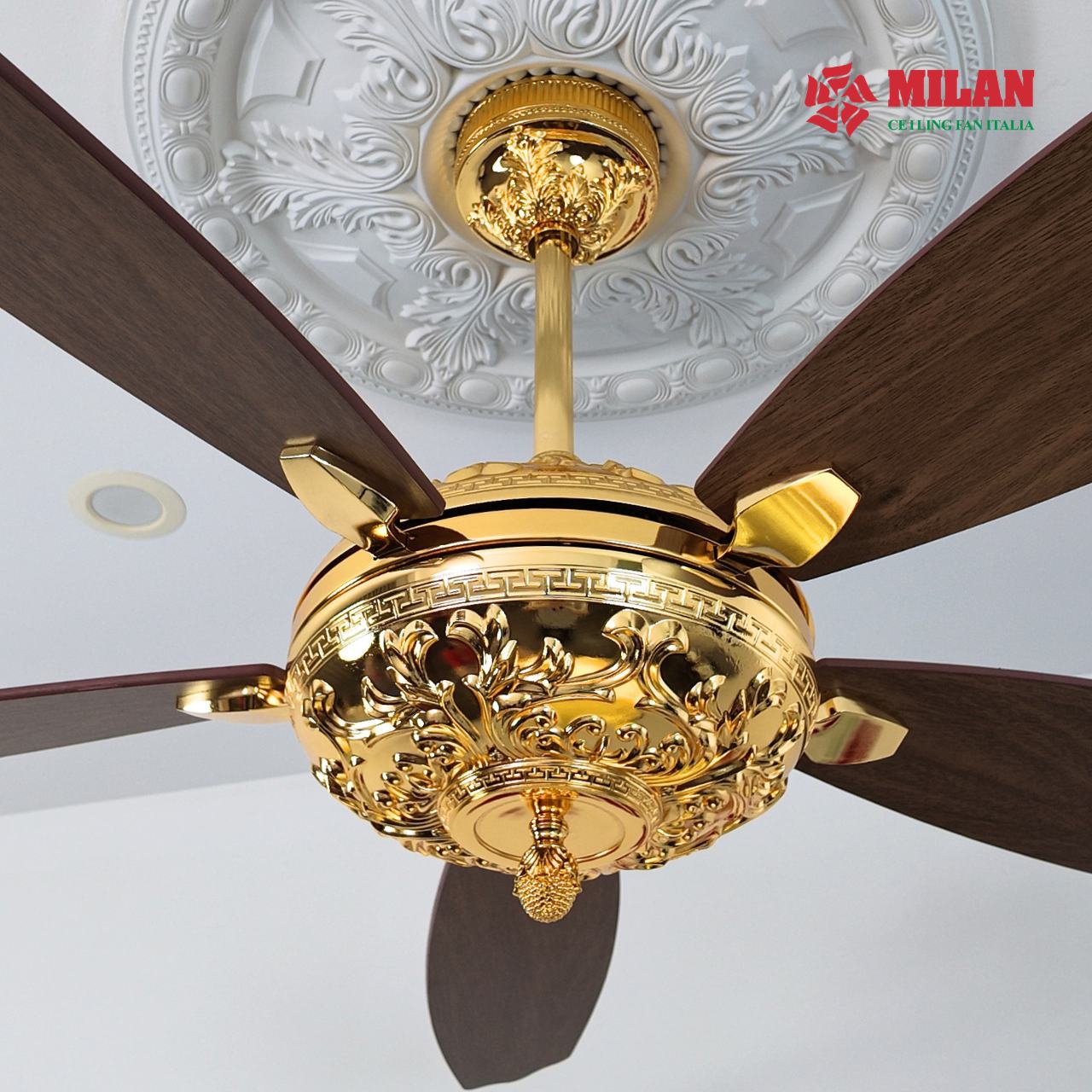 https://quattranitalia.vn/storage/product/17/fy966kd-2-1781775715.jpg