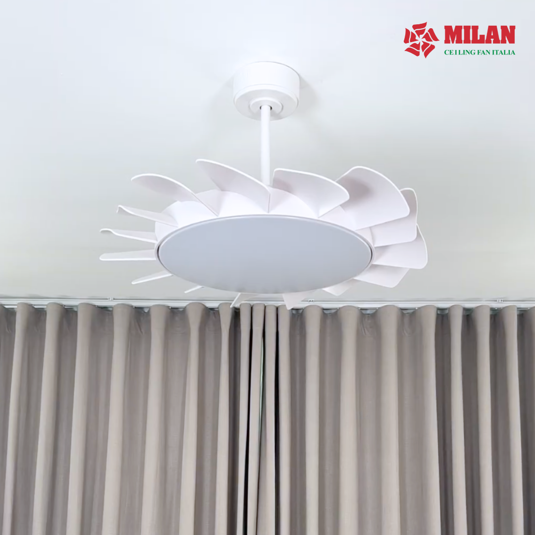 https://quattranitalia.vn/storage/product/17/nom-1766818100.png
