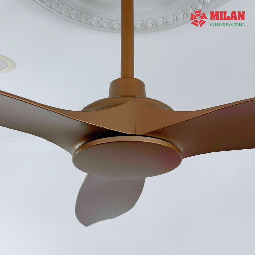 https://quattranitalia.vn/storage/product/17/quat-3d-1-1789619198.png