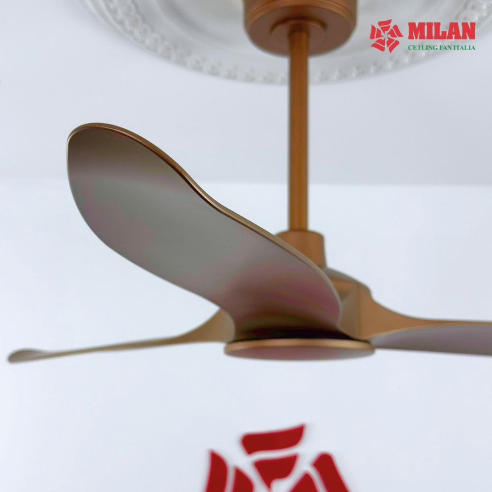 https://quattranitalia.vn/storage/product/17/quat-3d-1789619198.png