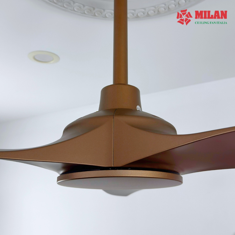https://quattranitalia.vn/storage/product/17/quat-3d-2-1789619198.png