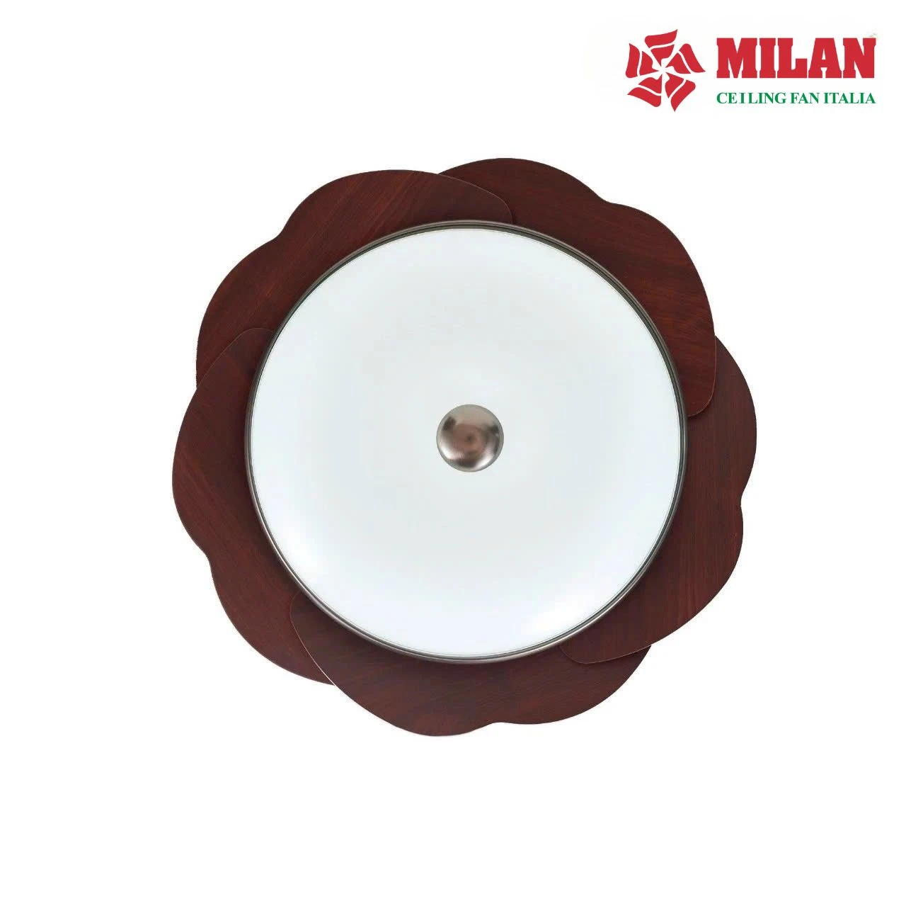 https://quattranitalia.vn/storage/product/190/quat-tran-den-5-canh.1.webp