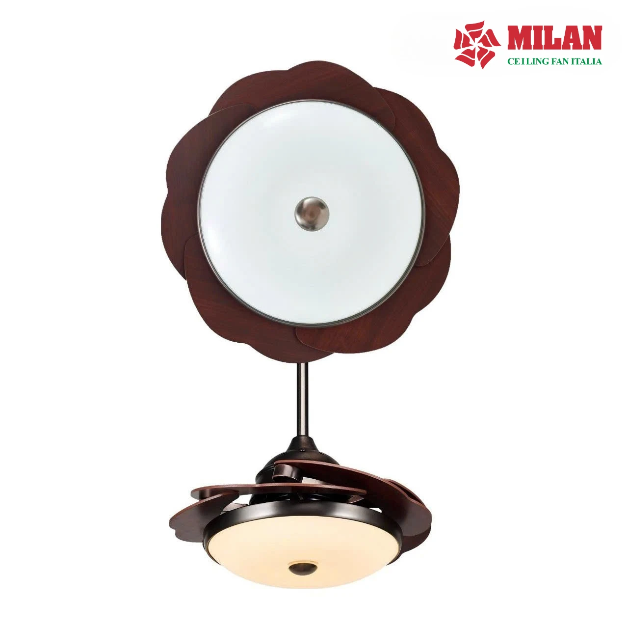 https://quattranitalia.vn/storage/product/190/quat-tran-den-5-canh.2.webp