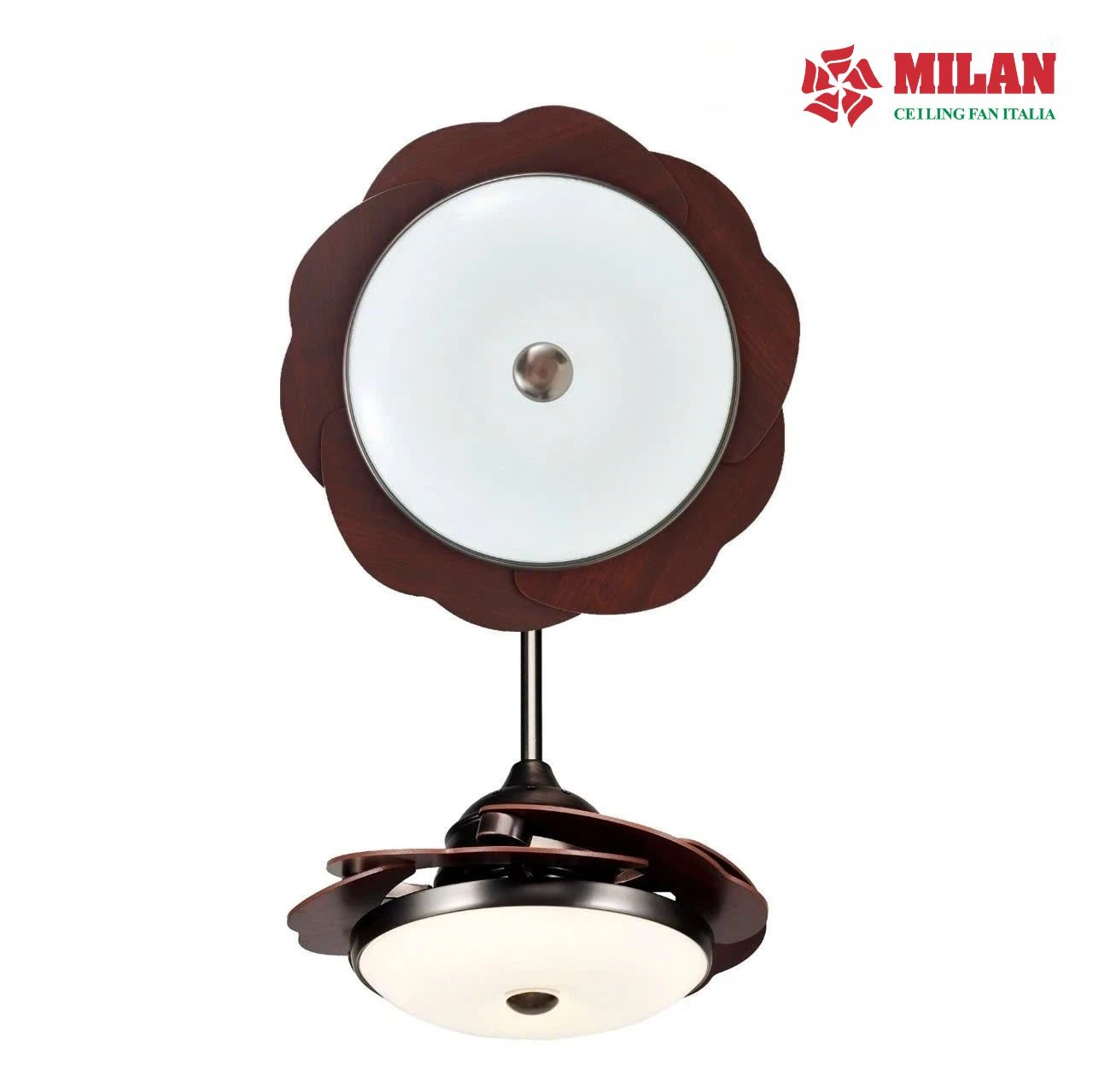 https://quattranitalia.vn/storage/product/190/quat-tran-den-5-canh.3.webp